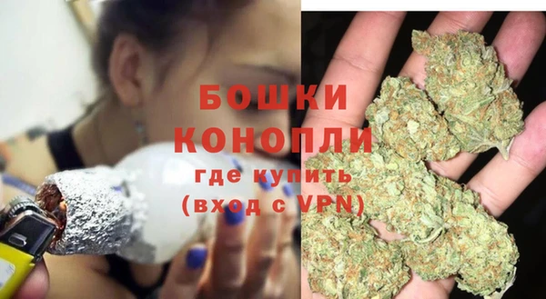 прущие грибы Вязники