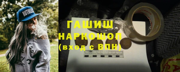 прущие грибы Вязники